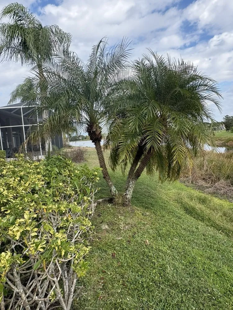 Expert outdoor landscaping experts serving Sarasota, FL - 3 Brothers Irrigation Services