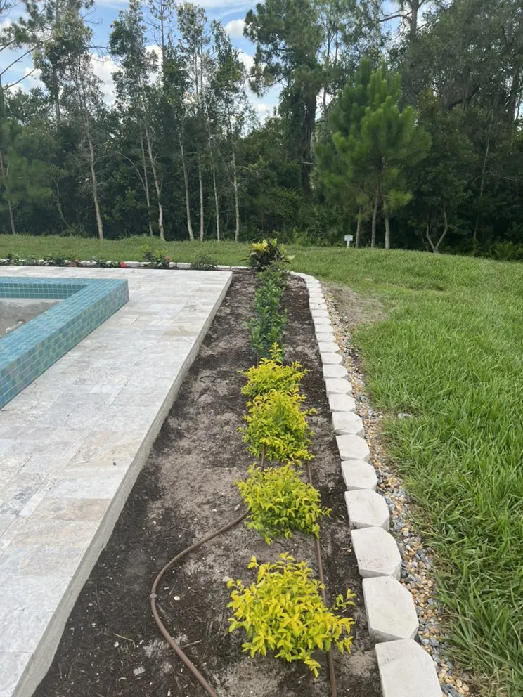 Local yard maintenance for homes in Sarasota, FL by 3 Brothers Irrigation Services