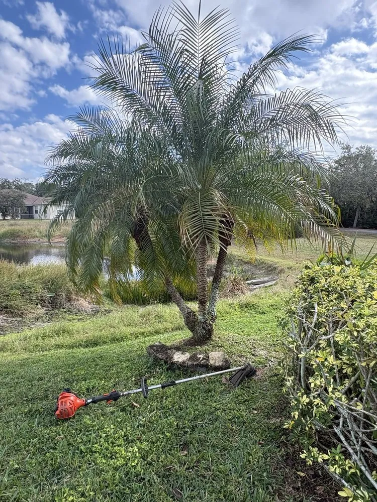 Reliable lawn care service in Sarasota, FL by 3 Brothers Irrigation Services