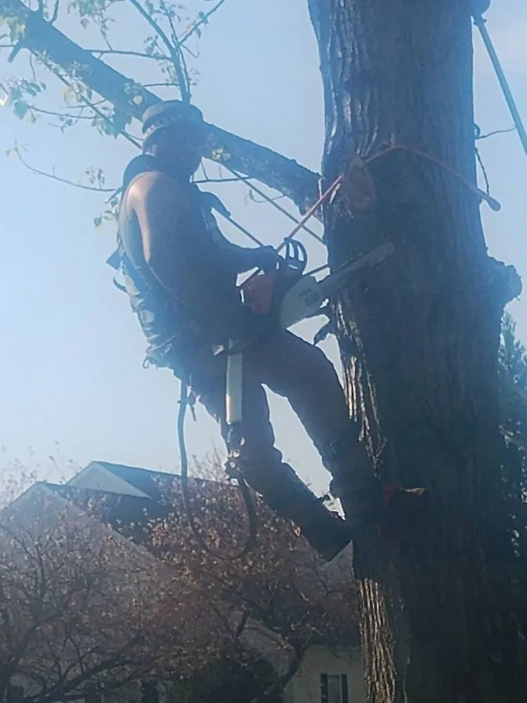 Custom lawn mowing service with custom design in Lenoir City, TN by 3 Brothers Landscape And Hardscape