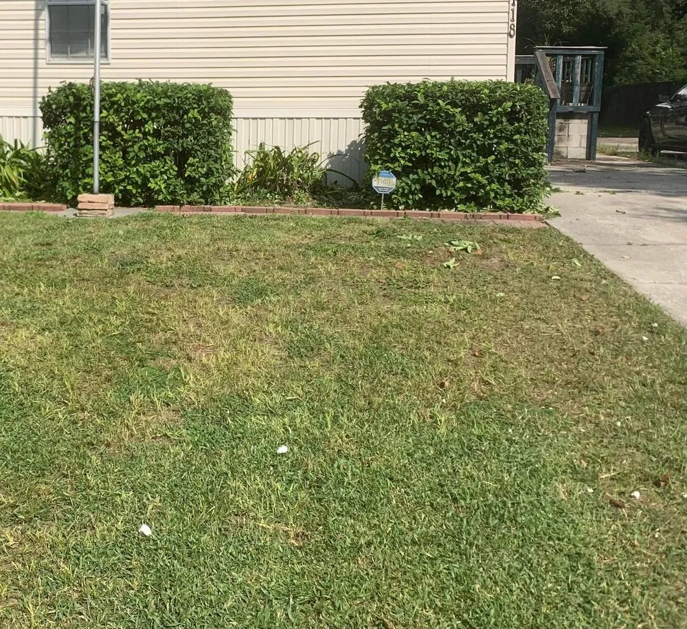 Top-rated landscape installation for homes across New Port Richey, FL - 3 Brothers Landscaping Care