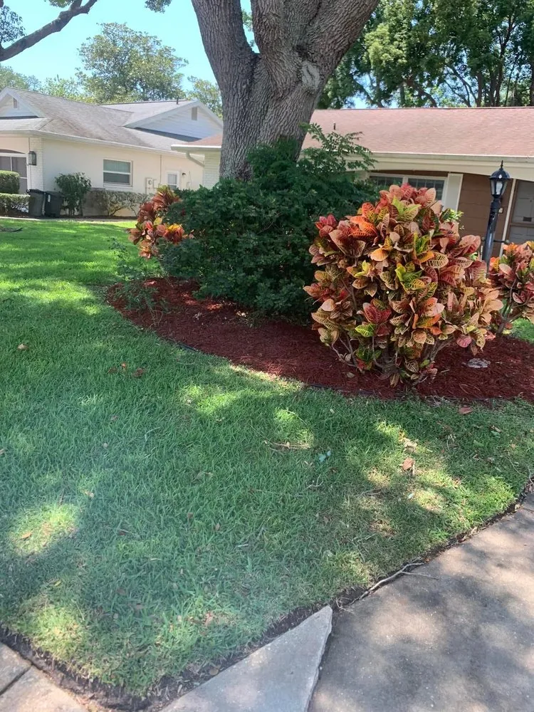 Custom landscaping services in New Port Richey, FL by 3 Brothers Landscaping Care