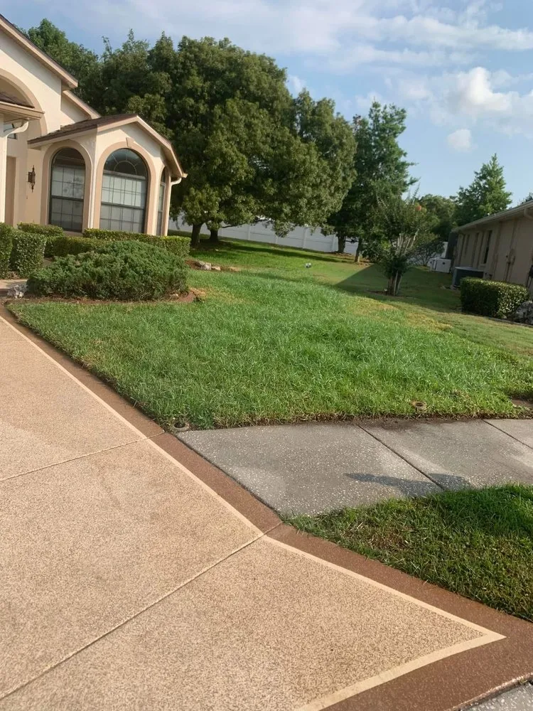 Expert yard cleanup service for year-round maintenance across New Port Richey, FL - 3 Brothers Landscaping Care