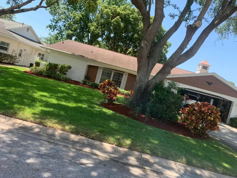 Trusted yard cleanup service for homes in New Port Richey, FL by 3 Brothers Landscaping Care