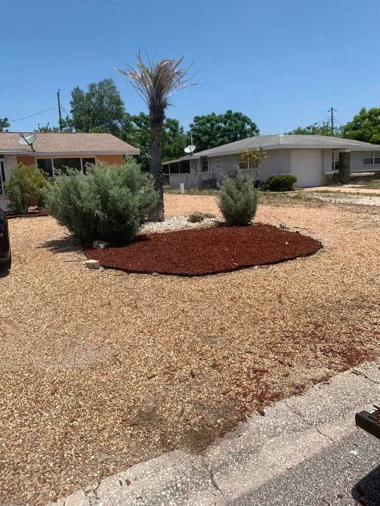 Custom yard cleanup service in New Port Richey, FL by 3 Brothers Landscaping Care