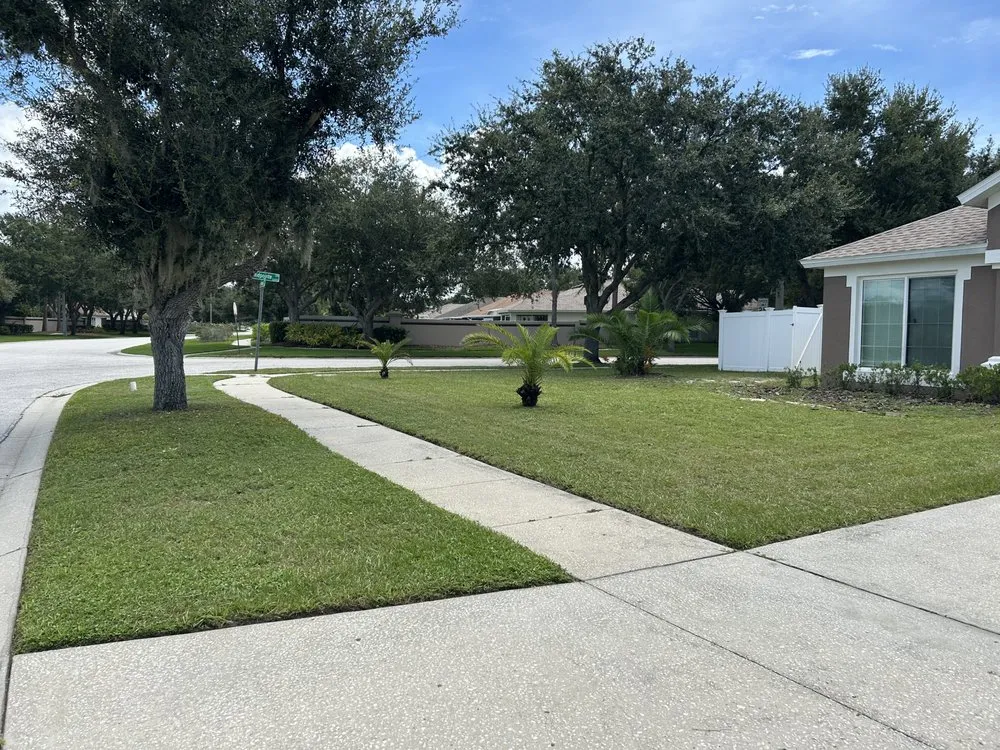 Trusted landscape design for year-round maintenance across New Port Richey, FL - 3 Brothers Landscaping Care