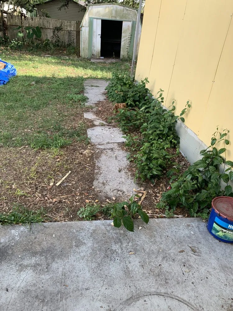 Top-rated landscape design experts serving New Port Richey, FL - 3 Brothers Landscaping