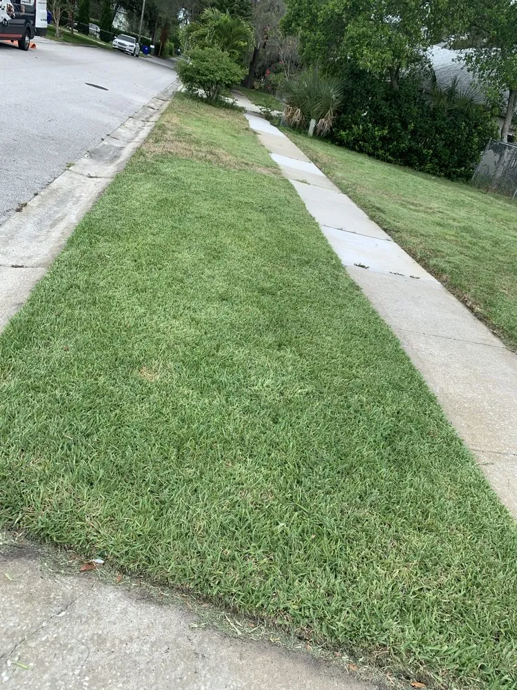 Top-rated lawn care service for outdoor upgrades in New Port Richey, FL by 3 Brothers Landscaping