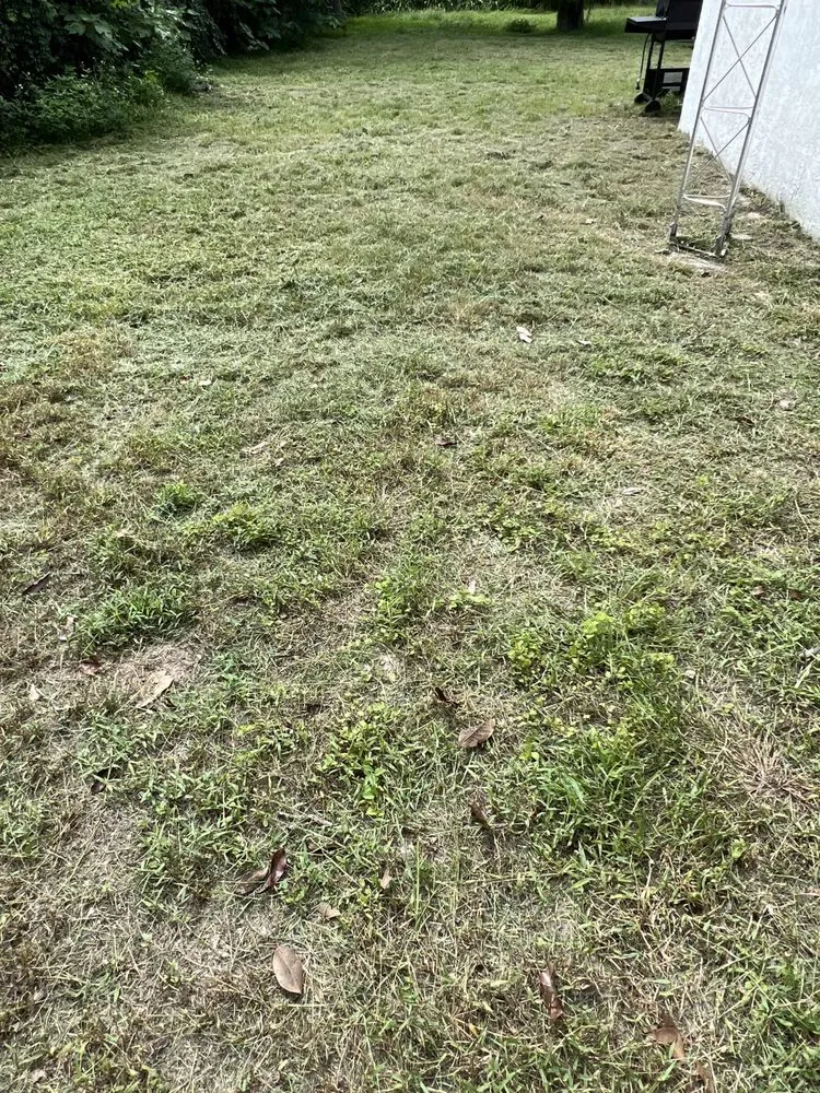 Reliable landscaping services in New Port Richey, FL - 3 Brothers Landscaping