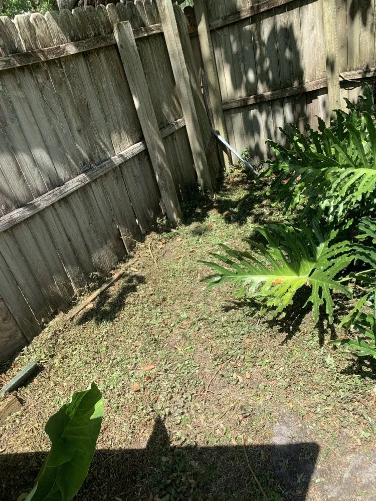 Trusted yard cleanup service experts serving New Port Richey, FL - 3 Brothers Landscaping