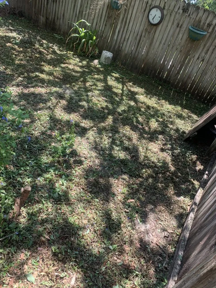 Reliable landscape design for beautiful yards in New Port Richey, FL by 3 Brothers Landscaping