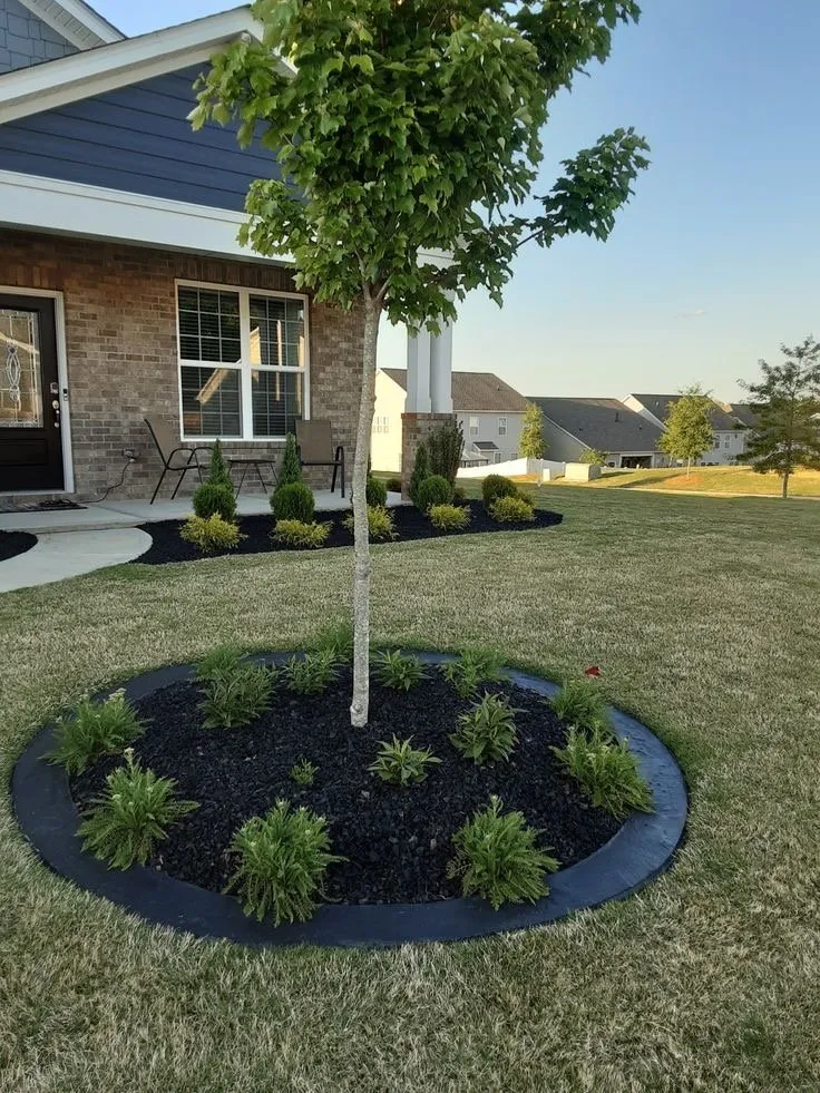 Local landscape design in Orlando, FL - 3 Brothers Landscaping