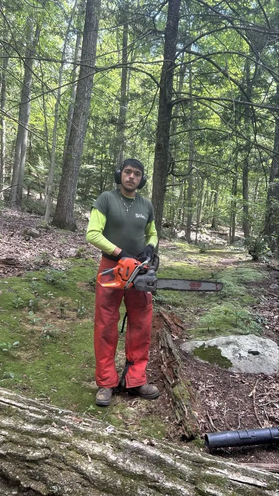 Expert yard cleanup service in Peekskill, NY - 3 Brothers Landscaping