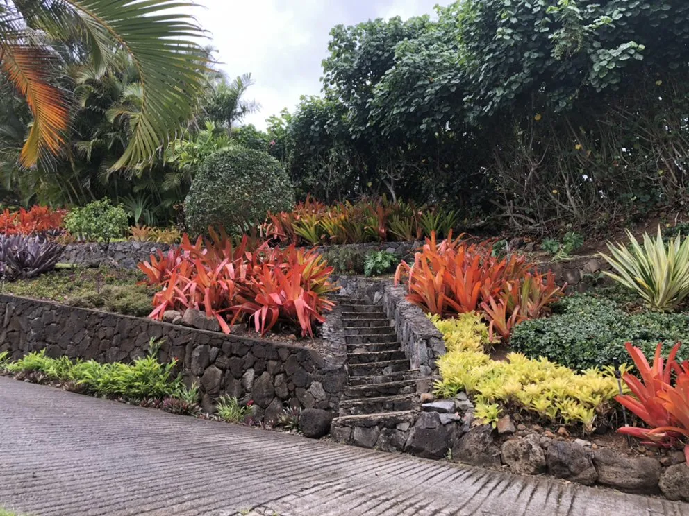 Custom garden landscaping in Waipahu, HI by 3 Brothers Landscaping Services LLC