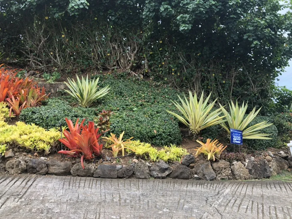 Local lawn care service for outdoor upgrades across Waipahu, HI - 3 Brothers Landscaping Services LLC