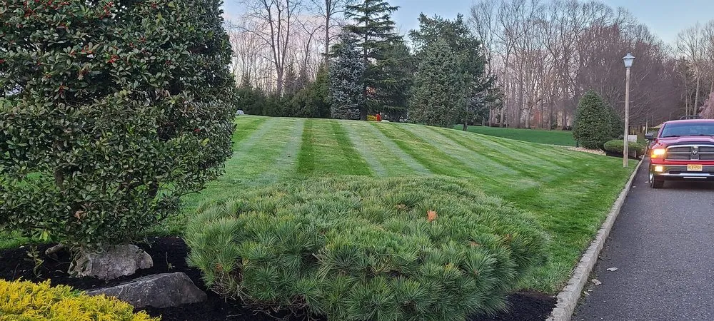 Expert yard maintenance near you in Freehold, NJ by 3 Brothers Lawn and Landscaping
