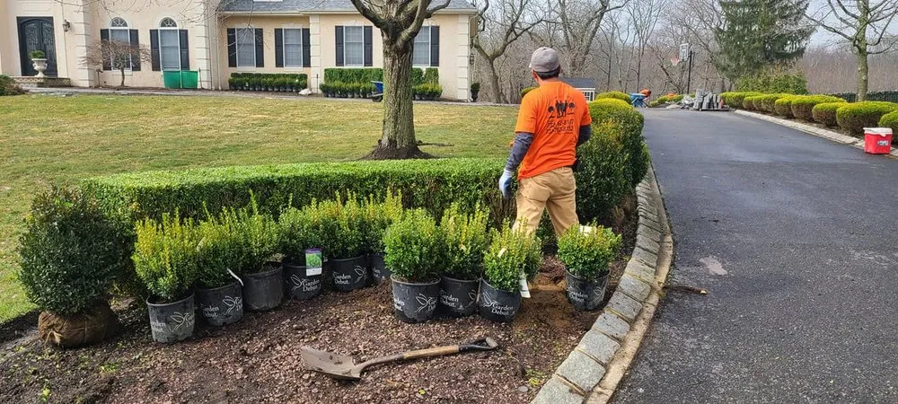 Expert lawn care service in Freehold, NJ by 3 Brothers Lawn and Landscaping