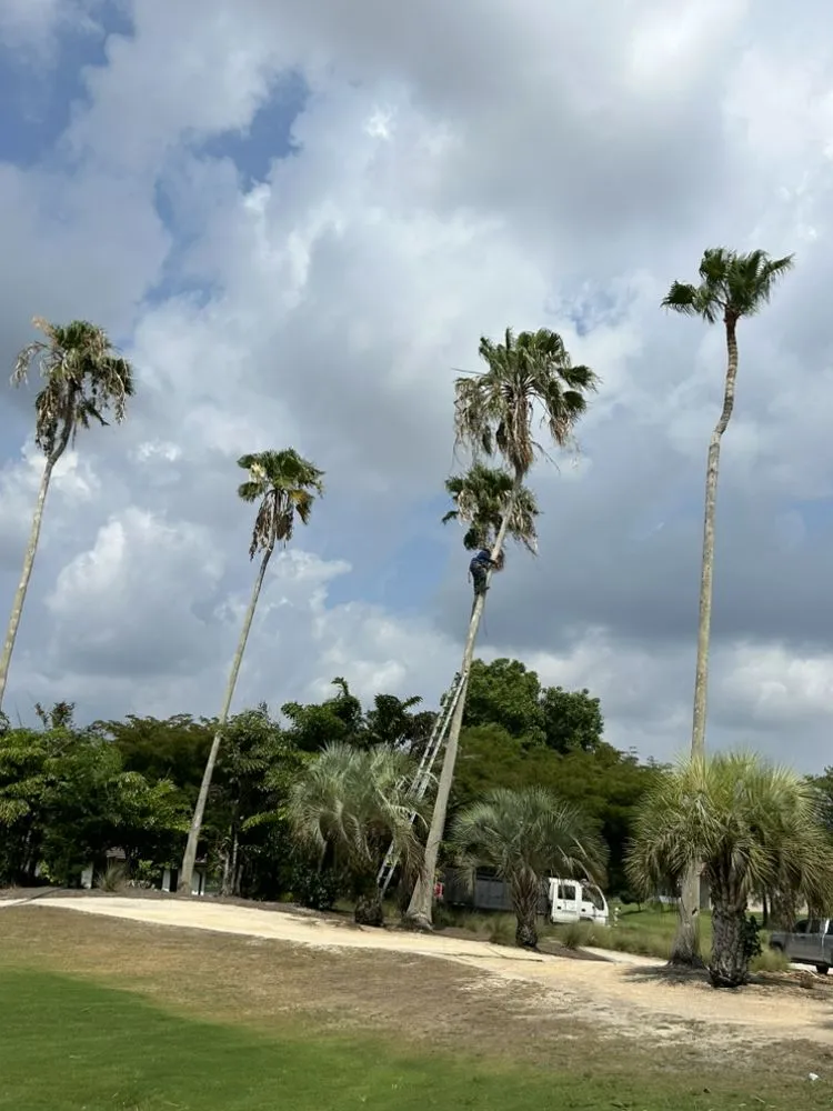 Top-rated landscaping services experts serving Loxahatchee, FL - 3 Brothers Lawn Services