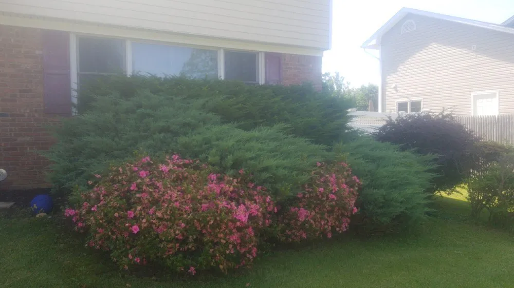 Top-rated garden landscaping in Huntington Station, NY by 3 Brother’s Lizama Landscaping