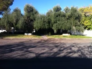 Trusted landscape installation experts serving Henderson, NV - 3 Brothers Tree Service