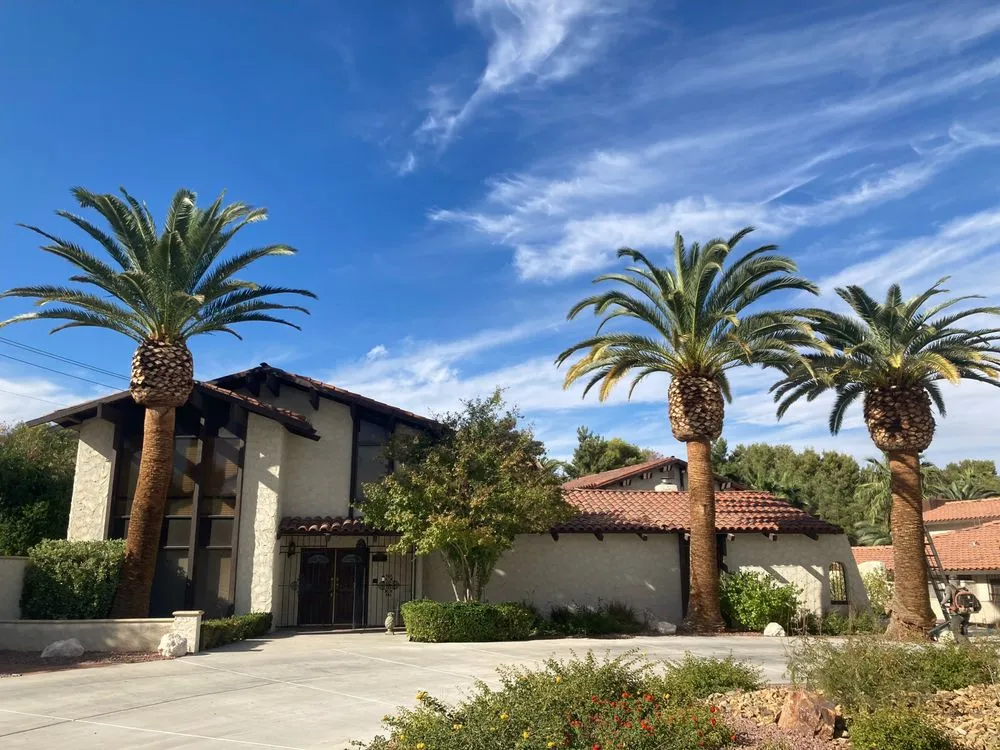 Expert residential landscaping experts serving Henderson, NV - 3 Brothers Tree Service