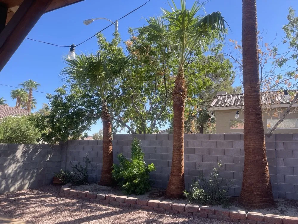 Reliable garden landscaping for residential properties across Henderson, NV - 3 Brothers Tree Service