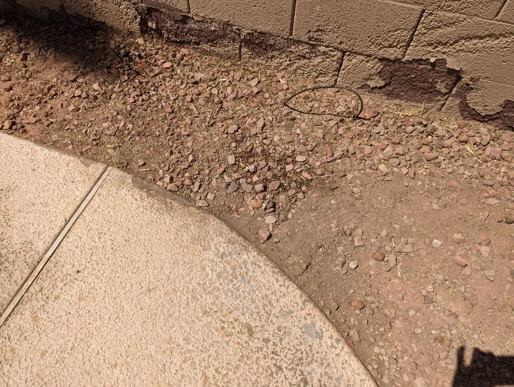 Local residential landscaping near you in Henderson, NV by 3 Brothers Tree Service