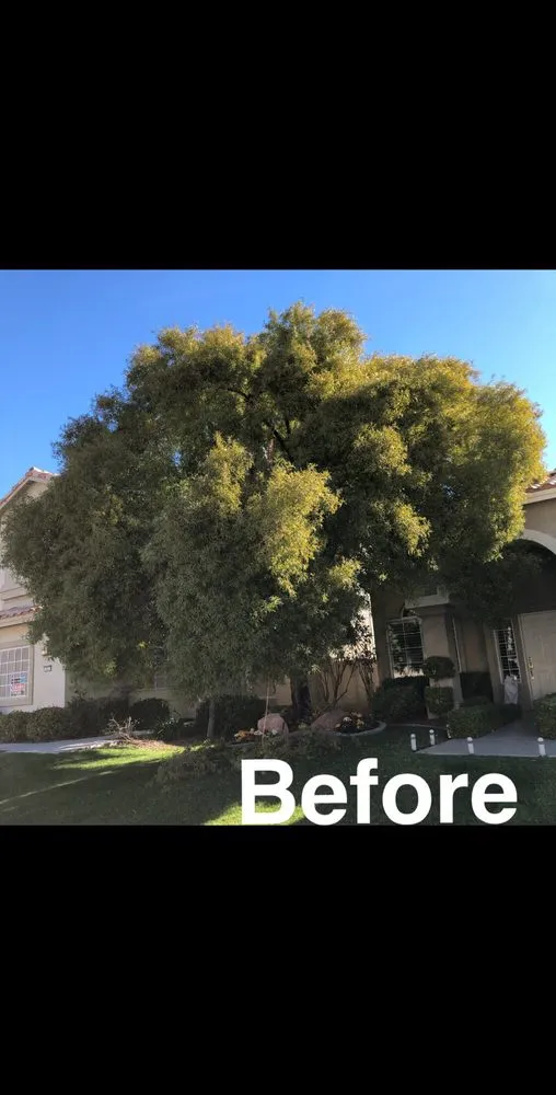Trusted outdoor landscaping for residential properties in Henderson, NV by 3 Brothers Tree Service