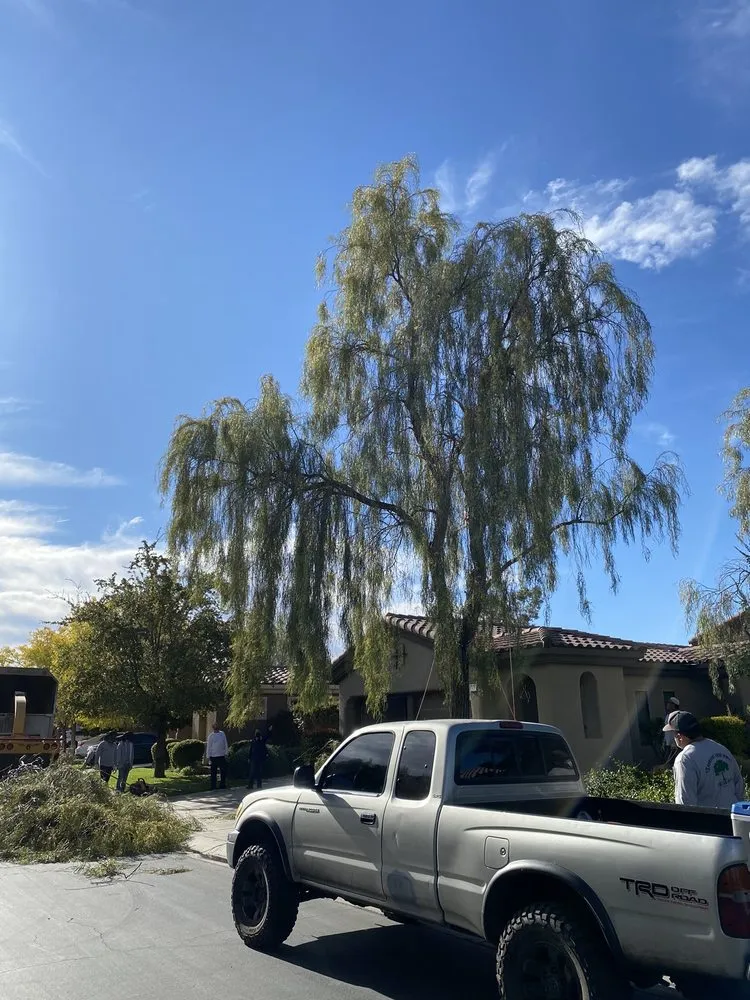 Expert landscape installation experts serving Henderson, NV - 3 Brothers Tree Service