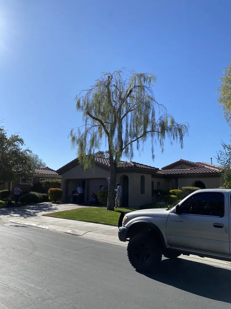 Expert landscaping services for beautiful yards in Henderson, NV by 3 Brothers Tree Service