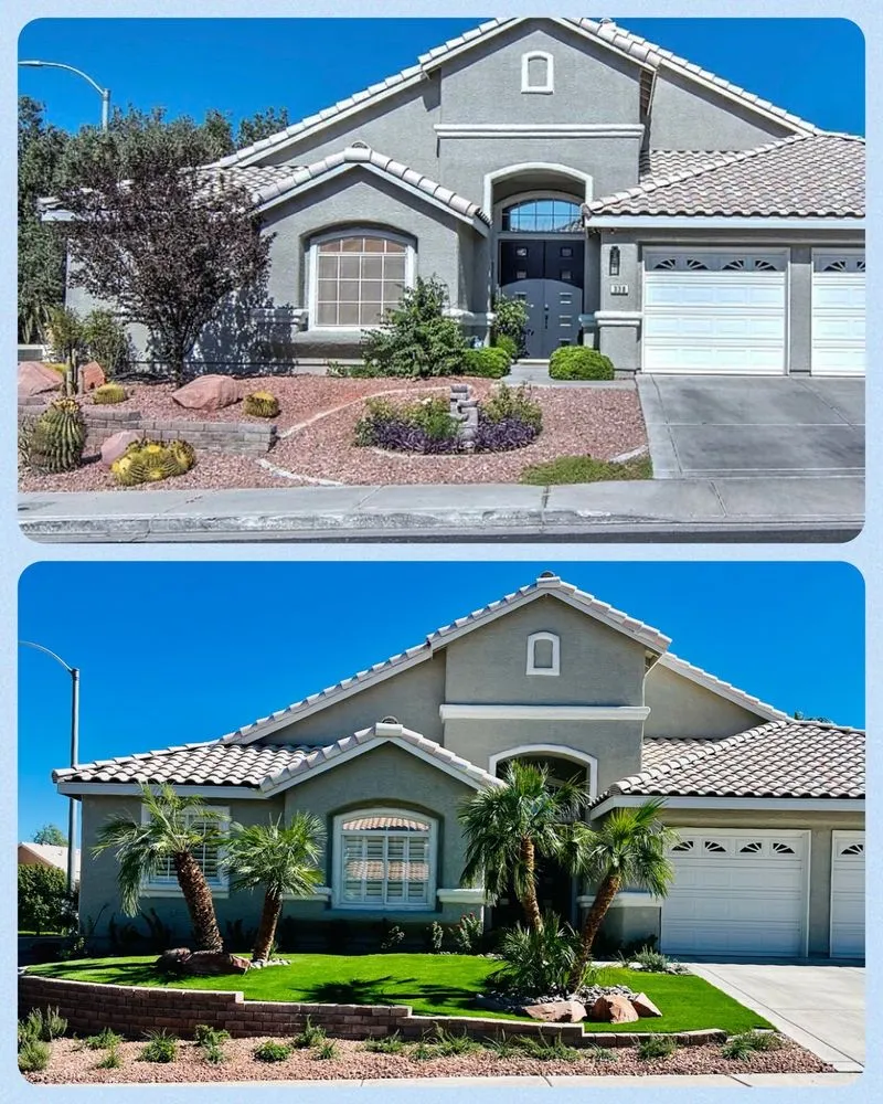 Expert yard maintenance experts serving Henderson, NV - 3 Brothers Tree Service