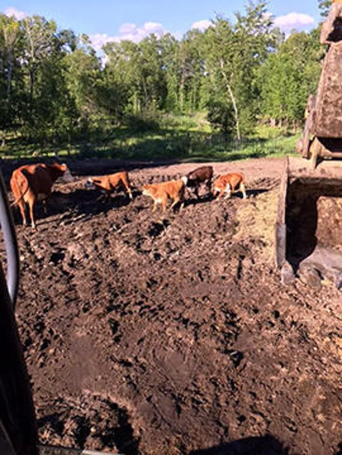 Expert lawn care service experts serving Cohasset, MN - 3 B's