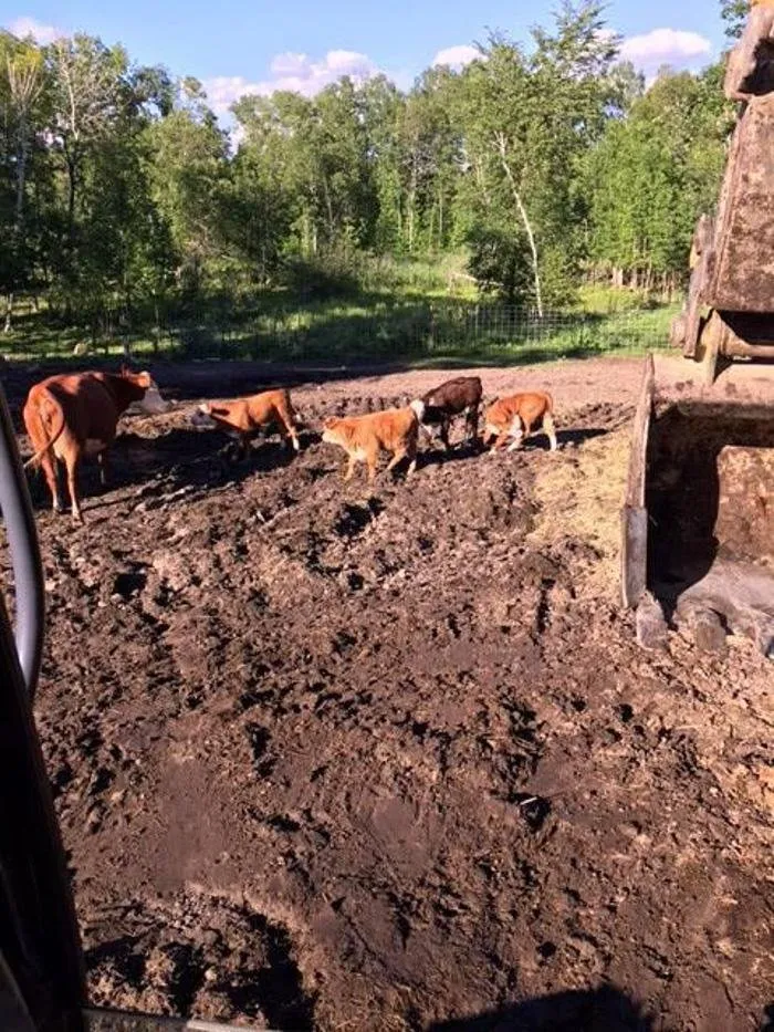 Custom garden landscaping experts serving Cohasset, MN - 3 B's