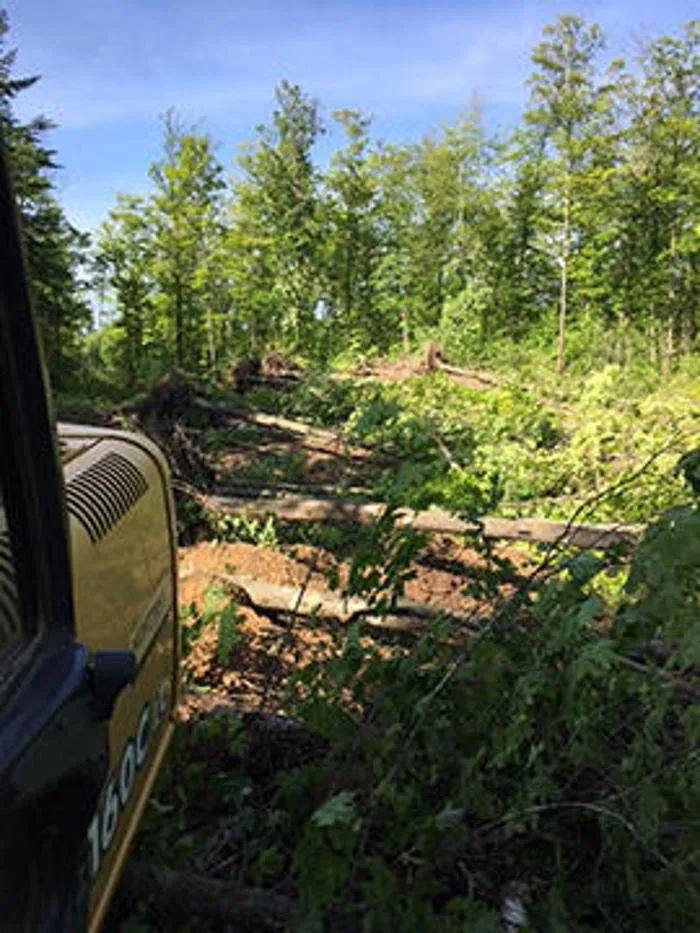 Professional landscape installation in Cohasset, MN by 3 B's