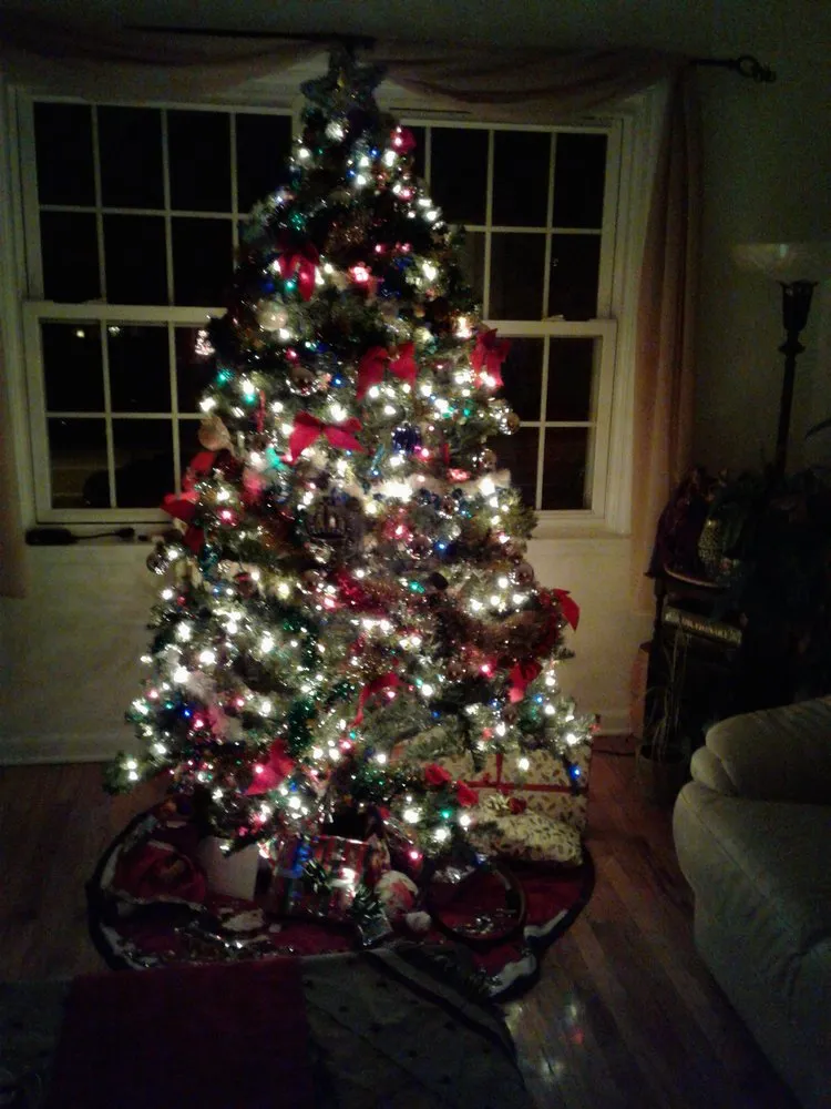 Reliable lawn mowing service in Pittsburgh, PA by 3 Coatz Hardwood Floor Refinishing