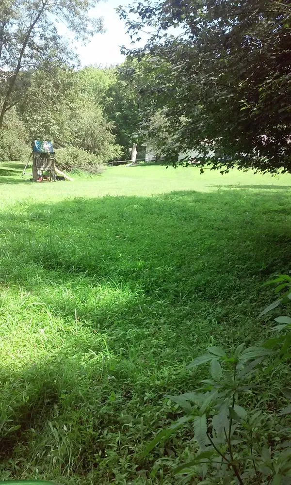 Affordable lawn mowing service for year-round maintenance across Andover, NJ - 3 Cousins Lawn Care