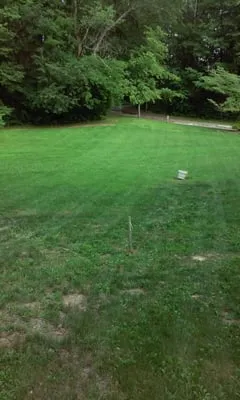 3 Cousins Lawn Care Logo