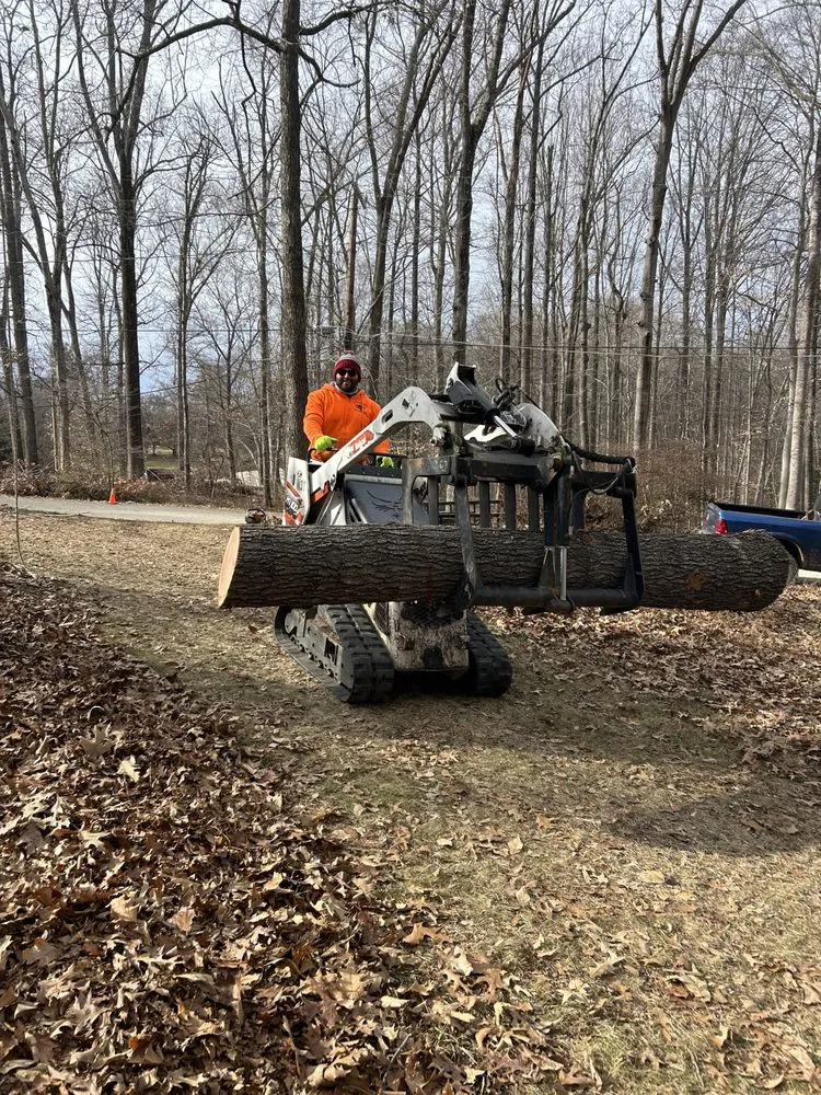 Expert lawn care service for homes across Locust Grove, VA - 3 Cowboys Tree Service & Landscaping