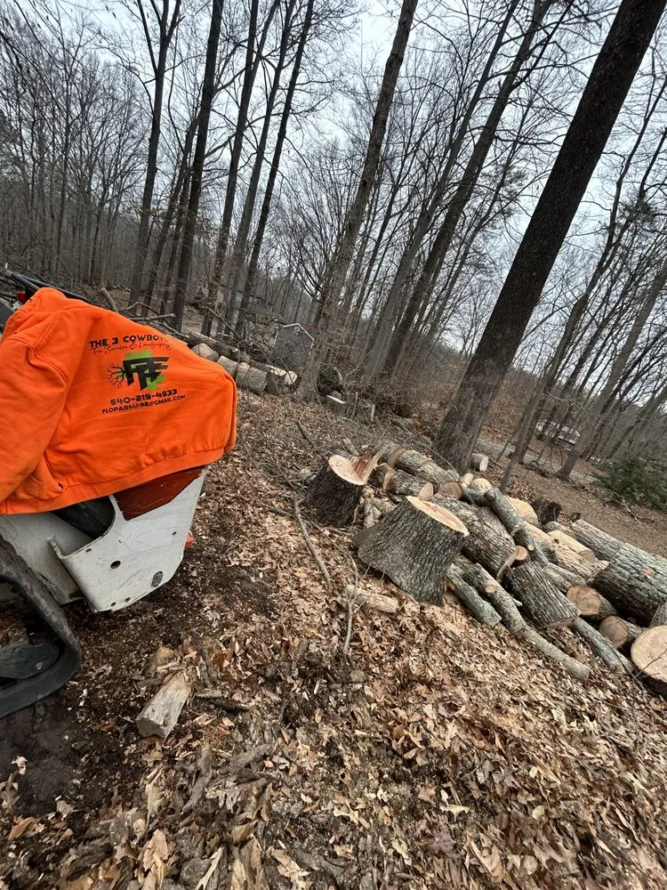 Affordable landscape design in Locust Grove, VA by 3 Cowboys Tree Service & Landscaping