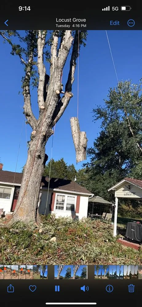 Professional yard maintenance in Locust Grove, VA - 3 Cowboys Tree Service & Landscaping