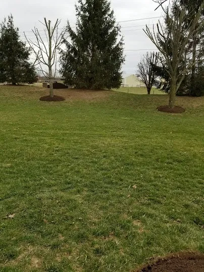 Expert lawn mowing service near you in Indianapolis, IN by 3 Crowns Landscaping