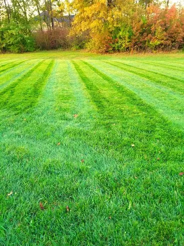 Trusted garden landscaping near you across Indianapolis, IN - 3 Crowns Landscaping