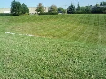Expert lawn care service in Indianapolis, IN - 3 Crowns Landscaping