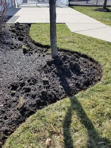 Top-rated garden landscaping in Indianapolis, IN - 3 Crowns Landscaping