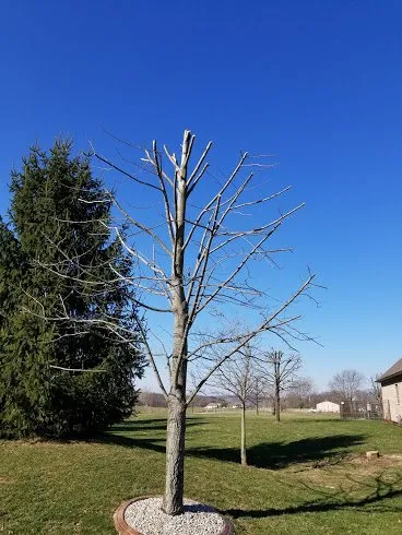 Trusted landscape installation experts serving Indianapolis, IN - 3 Crowns Landscaping