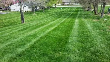 Expert lawn mowing service with custom design in Indianapolis, IN by 3 Crowns Landscaping