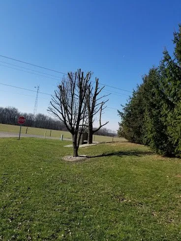 Affordable outdoor landscaping in Indianapolis, IN - 3 Crowns Landscaping