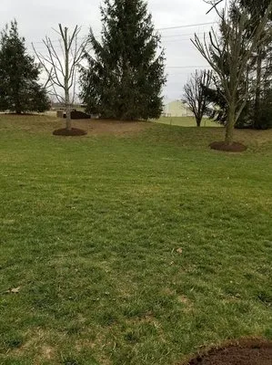 3 Crowns Landscaping Logo