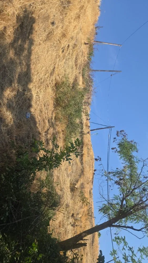 Local landscaping services in Lewiston, ID by 3 C's Landscaping