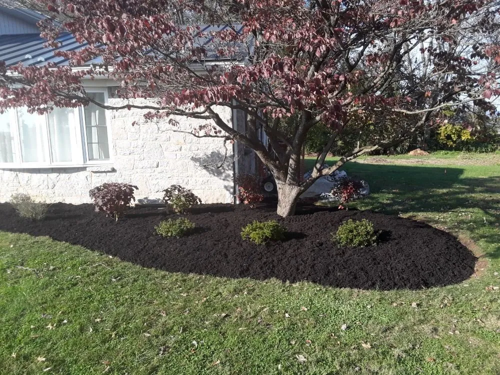 Affordable lawn mowing service experts serving Newville, PA - 3-D Lawn Care